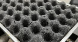 common transfer case failures