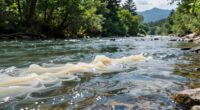 multiple water quality issues