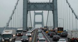 quantitative load simulation method