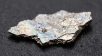 wear debris microscopy insights